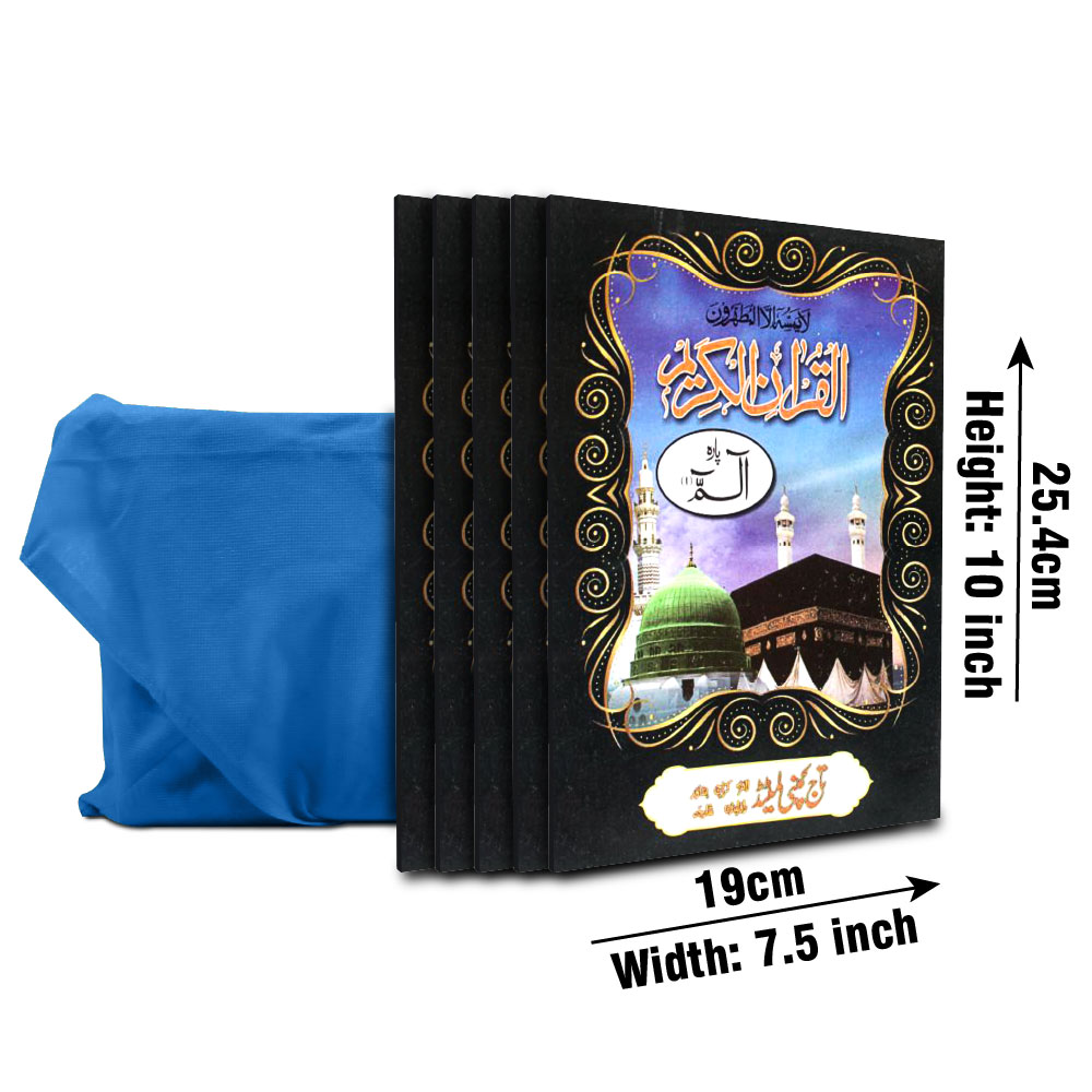 376-30CA 30 Paras Set Complete Quran Juz 11 Line Bold Font Persian Script (With Fabric Carry Case)